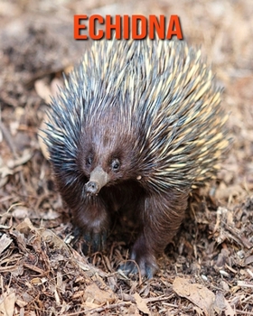 Paperback Echidna: Amazing Facts about Echidna Book