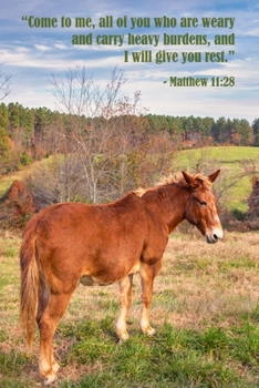 Paperback Matthew 11: 28 Scripture Journal: 120 page, 6" x 9", ruled, no content, NLT Scripture verse footers, original, copyrighted cover p Book