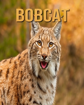 Paperback Bobcat: Amazing Photos & Fun Facts Book About Bobcat For Kids Book