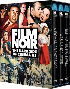 Film Noir: The Dark Side of Cinema XI