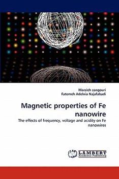 Paperback Magnetic Properties of Fe Nanowire Book