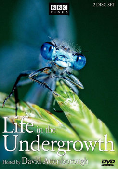 DVD Life in the Undergrowth Book