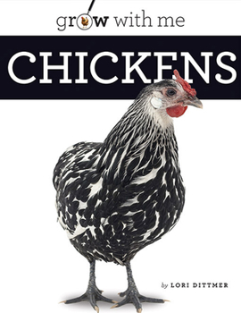 Paperback Chickens Book