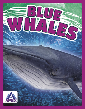 Paperback Blue Whales Book
