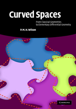 Hardcover Curved Spaces: From Classical Geometries to Elementary Differential Geometry Book