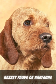 Paperback Bаssеt Fаuvе Dе Brеtаgnе: Complete breed guide Book