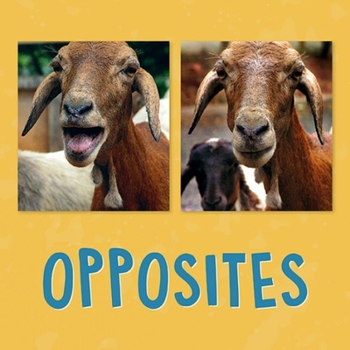 Paperback Opposites: English Edition Book