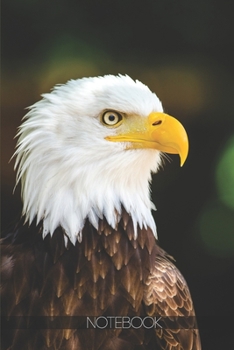 Paperback Notebook: American bald eagle [110 pages]: American bald eagle Book