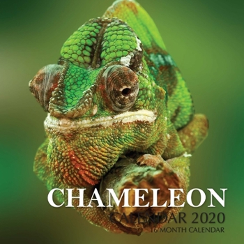 Paperback Chameleon Calendar 2020: 16 Month Calendar Book