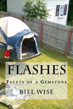 Paperback Flashes: Facets of a Gemstone Book