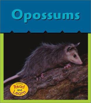 Paperback Opossums (What's Awake?) Book