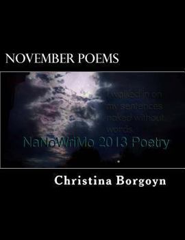 Paperback November Poems: NaNoWriMo 2013 Book