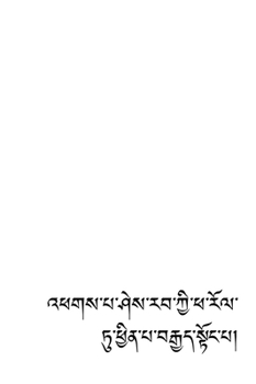 The Mint Book: A Conception in Tibetan Script from Ancient Artifacts (Tibetan Edition)
