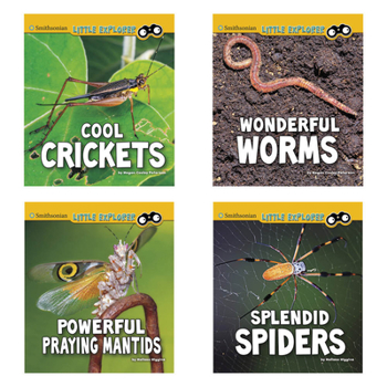 Misc. Little Entomologist 4D Book