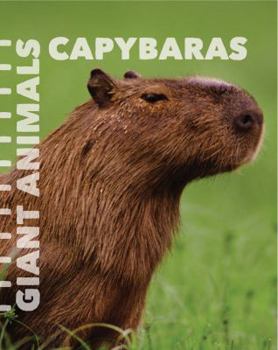 Library Binding Capybaras Book