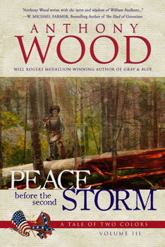 Library Binding Peace Before the Second Storm: A Story of the Civil War [Large Print] Book