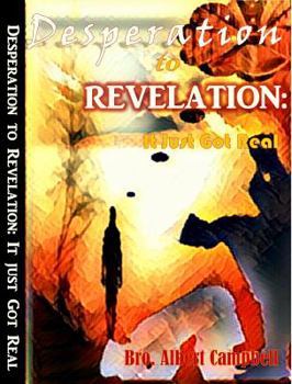 Paperback Desperation to Revelation: It Just Got Real Book