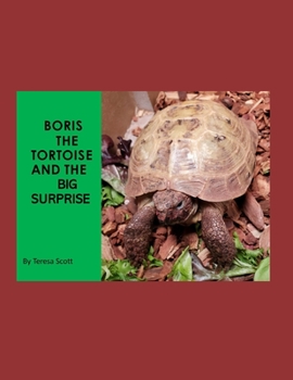 Paperback Boris The Tortoise: And The Big Surprise Book