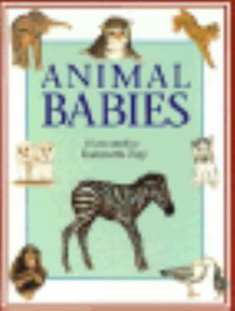 Hardcover Animal Babies Book
