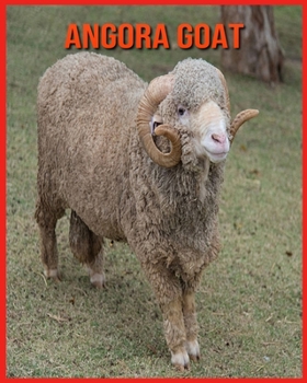Angora Goat: Childrens Book Amazing Facts & Pictures about Angora Goat
