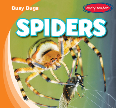 Paperback Spiders Book