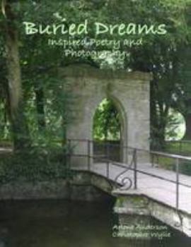 Paperback Buried Dreams Book