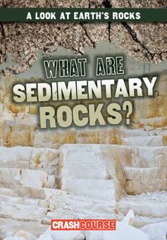 Library Binding What Are Sedimentary Rocks? Book