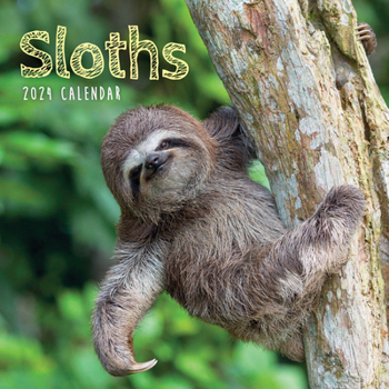 Calendar 2024 Sloths Mini Wall Calendar Book