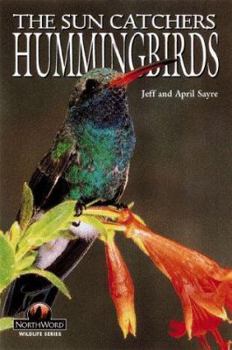 Paperback Hummingbirds: The Sun Catchers (Wildlife Series (Minocqua, Wis.).) Book