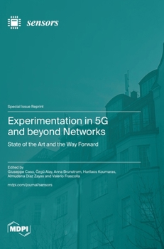 Hardcover Experimentation in 5G and beyond Networks: State of the Art and the Way Forward Book