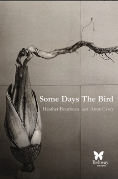 Paperback Some Days the Bird Book