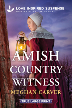 Amish Country Witness (Plain Secrets, 2)