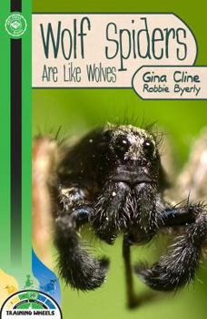 Paperback Wolf Spiders Are Like Wolves (Power 100 - Predator Bugs) Book