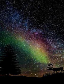 Paperback Starry Sky Notebook: 8.5 X 11 202 College Ruled Pages Book