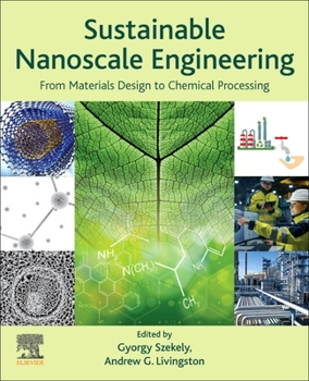 Paperback Sustainable Nanoscale Engineering: From Materials Design to Chemical Processing Book