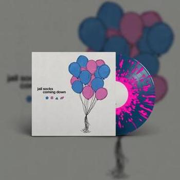 Vinyl Coming Down Book