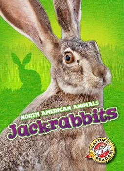 Library Binding Jackrabbits Book