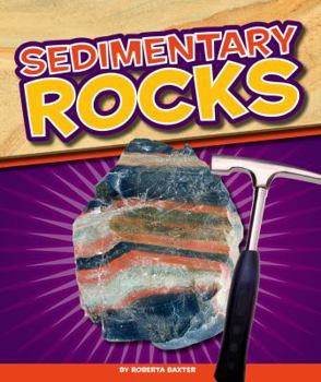 Library Binding Sedimentary Rocks Book