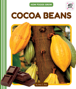 Library Binding Cocoa Beans Book