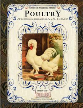 Paperback Poultry: 26 Paintings and Engravings by J. W. Ludlow Book