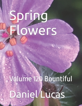 Paperback Spring Flowers: Volume 120 Bountiful Book