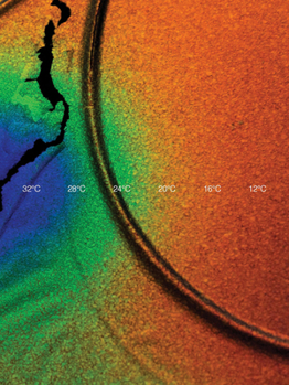 Paperback Cooper Jacoby: How Do I Survive? Book