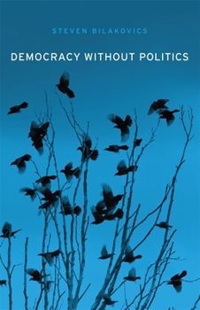 Hardcover Democracy Without Politics Book