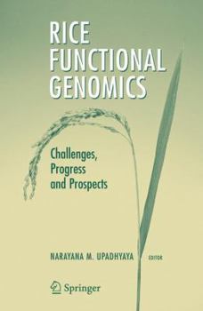 Paperback Rice Functional Genomics: Challenges, Progress and Prospects Book