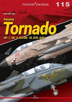 Paperback Panavia Tornado: Gr. 1, Gr. 4, Ids/Gr. 1b, Ecr, Adv Book