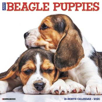 Calendar Just Beagle Puppies 2020 Wall Calendar (Dog Breed Calendar) Book