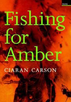 Hardcover Fishing for Amber Book