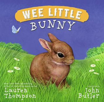 Hardcover Wee Little Bunny Book