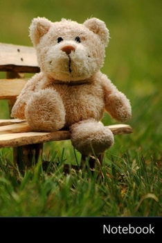 Notebook: Teddy,  Soft Toy,  Funny,  Teddy Bear themed Notebook / Journal / Diary / Composition book / Daily Planner / Sketchbook - 6 x 9 inches (15,24 x 22,86 cm), 150 pages, glossy finish.