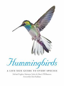 Hardcover Hummingbirds A Life-Size Guide to Every Species /anglais Book